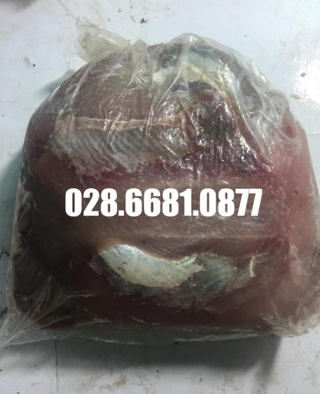 Mua thịt cá rựa tươi sống 100% tại TPHCM giá chưa tới 65000 đ/kg